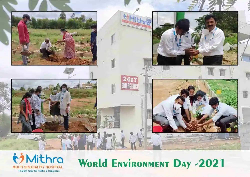 Mithra-Environment-Day-4-1-1